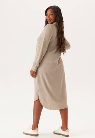 Hidden Button Shirt Dress