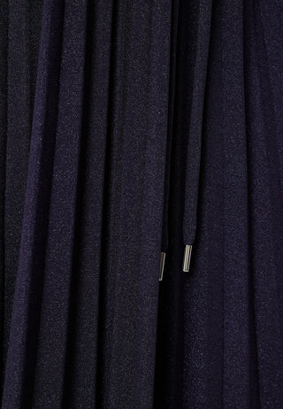 Elsina Pleated Sparkling Dress