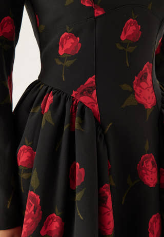 Volume Skirt Long Sleeve Mini Dress