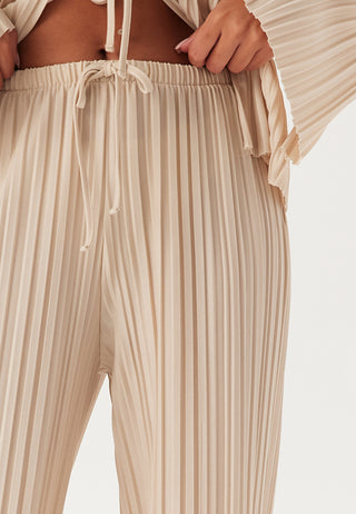 Pleated Wide Trousers