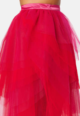Two Tone Tulle Skirt
