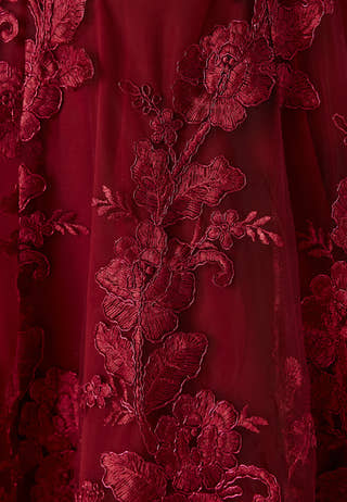 Embroidered Lace Dress