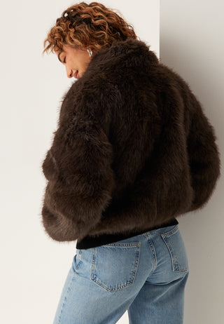 hollies-princess-brown-_2