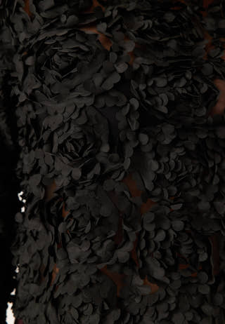 Onlrosebloom L/S Top