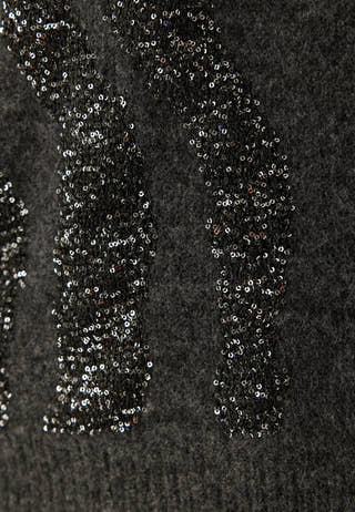 Pcrada Ls O-neck Sequin Knit