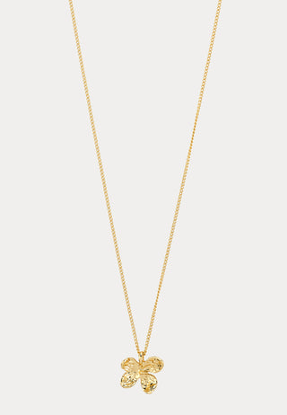 Ajani Necklace Gold-plated