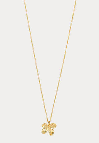 Ajani Necklace Gold-plated