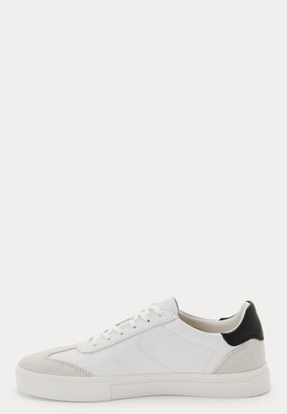 Cody Sneakers
