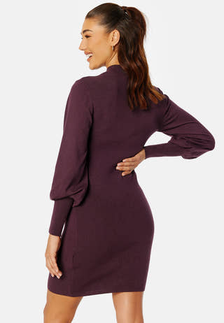 Holly Karispuff LS Highnk Dress