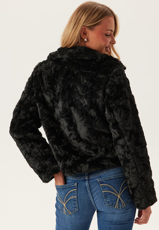 Vidorte L/S Jacket