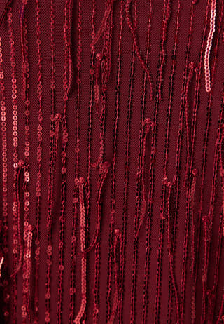 Yaslantra Ls Sequin Fringe Dress